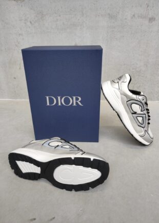 Dior B30 Sneaker Silver